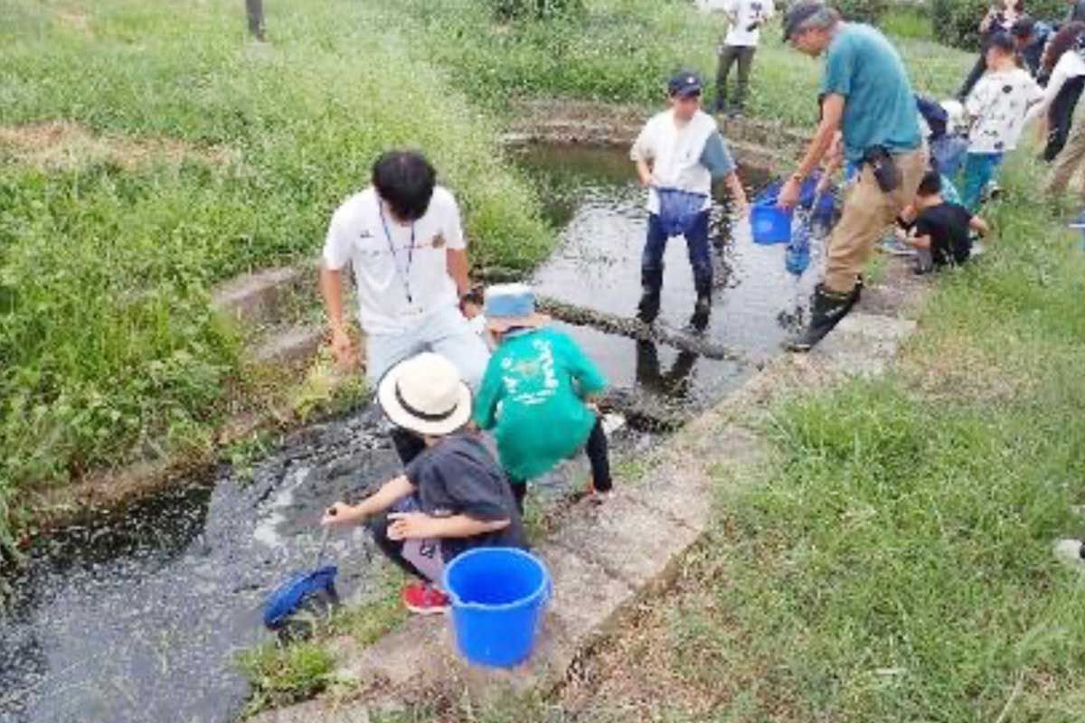 地域の児童も一緒に調査している様子