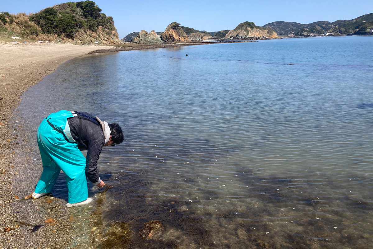 海岸で水質を調べている人の様子