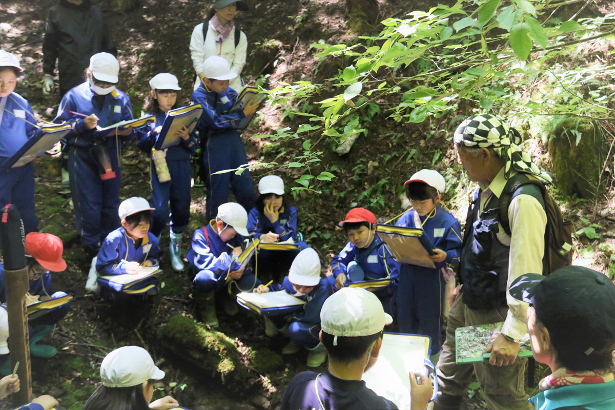鮫川村のこどもたちによる調査活動の様子