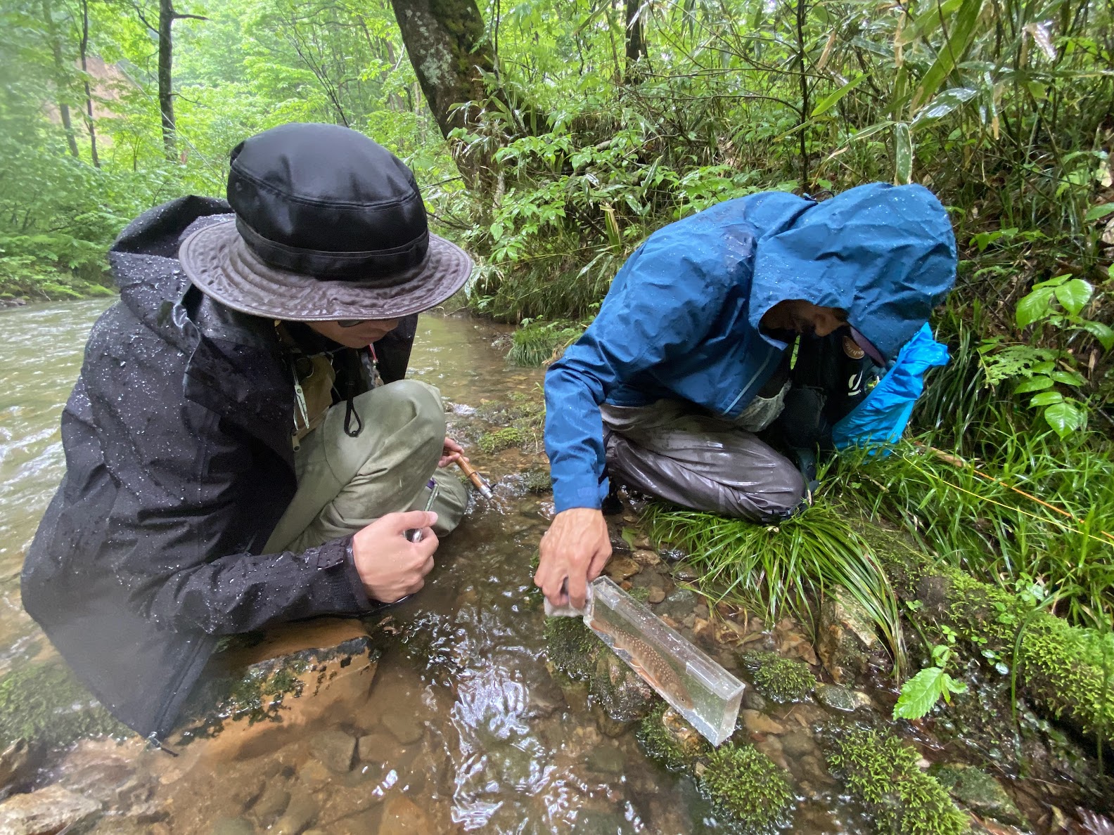 月光川水系の水質調査の様子
