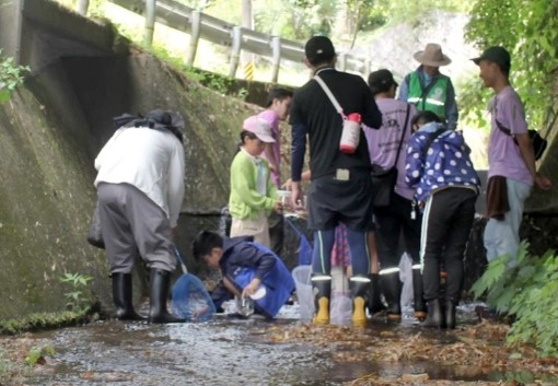 走井川・細川の水辺環境の調査の様子
