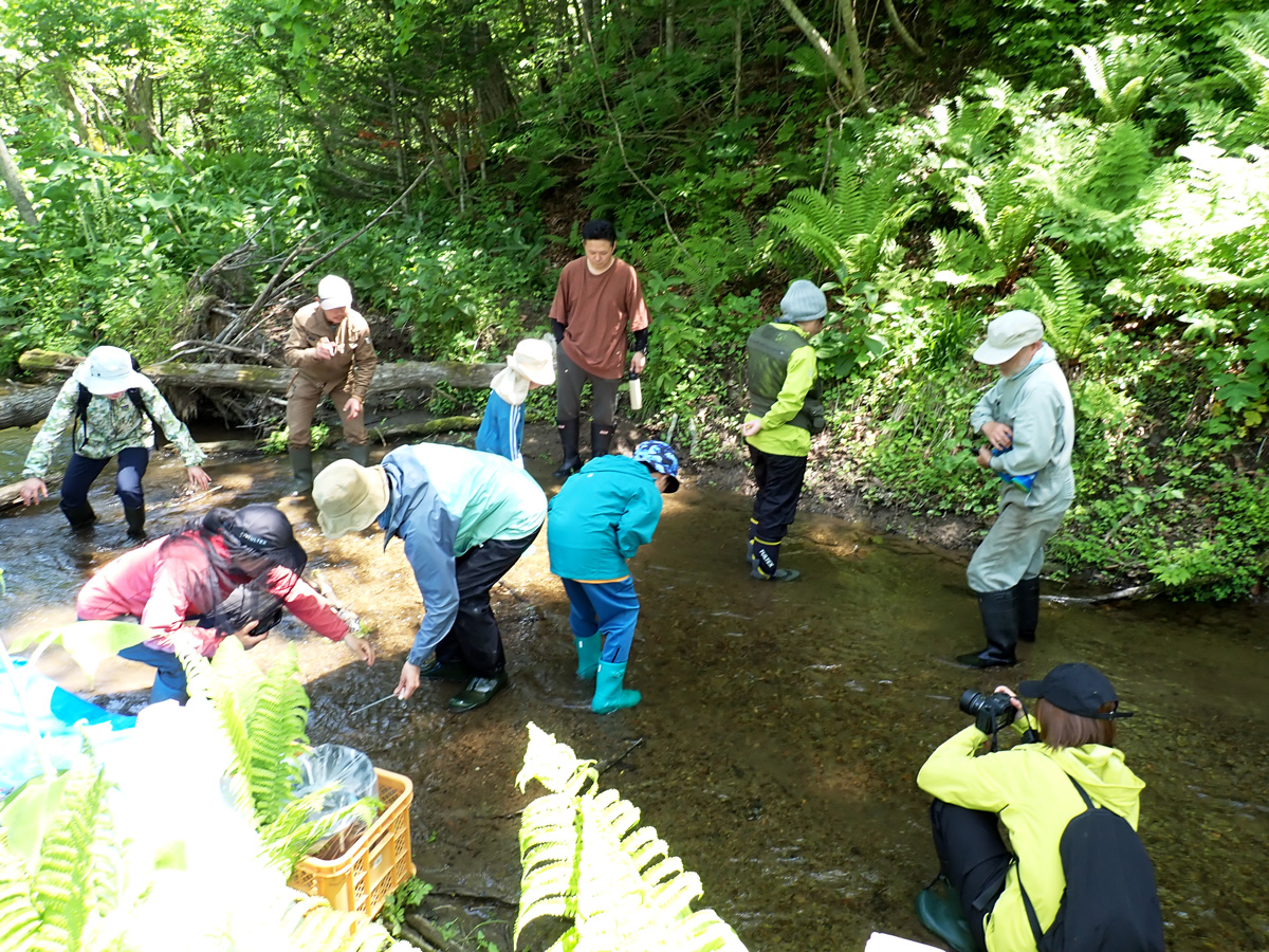 土中環境調査の様子