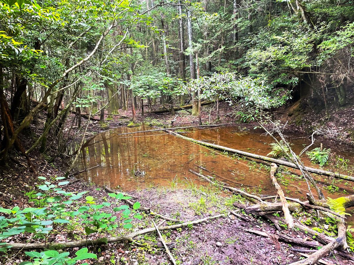 奈良の水源地