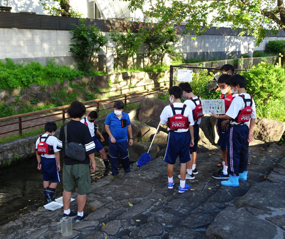 葛飾区立青葉中学校の生徒による調査の様子
