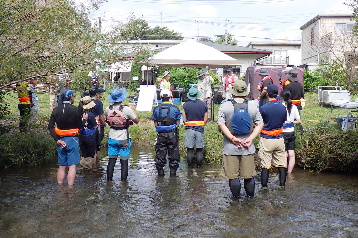水生生物調査の様子